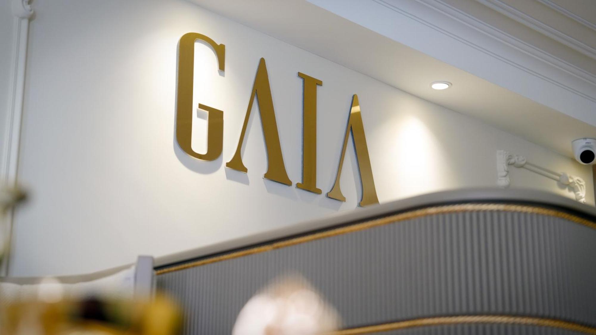 Gaia Suites 伊斯坦布尔 外观 照片